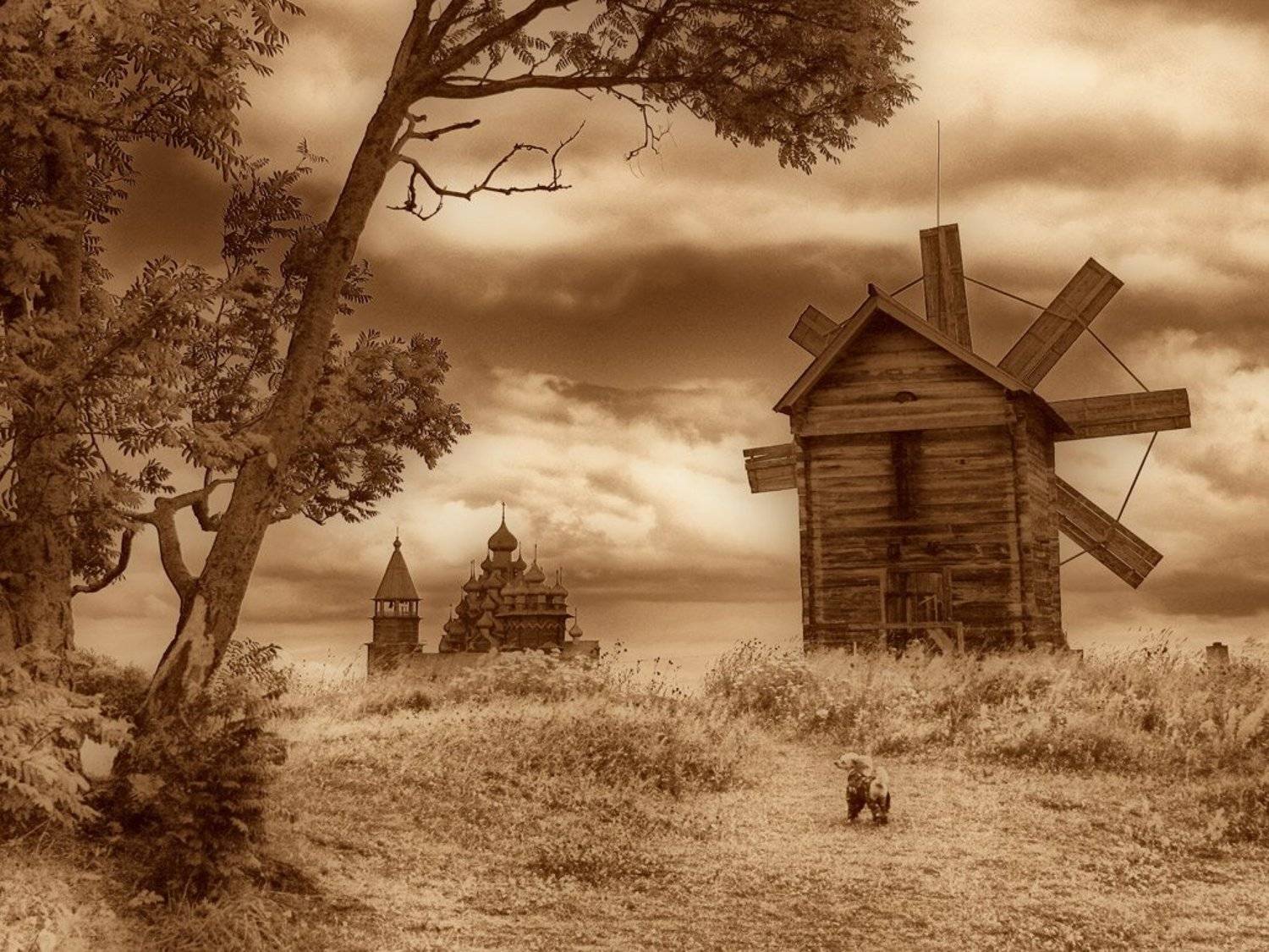 карелия, кижи, Клековкин Александр