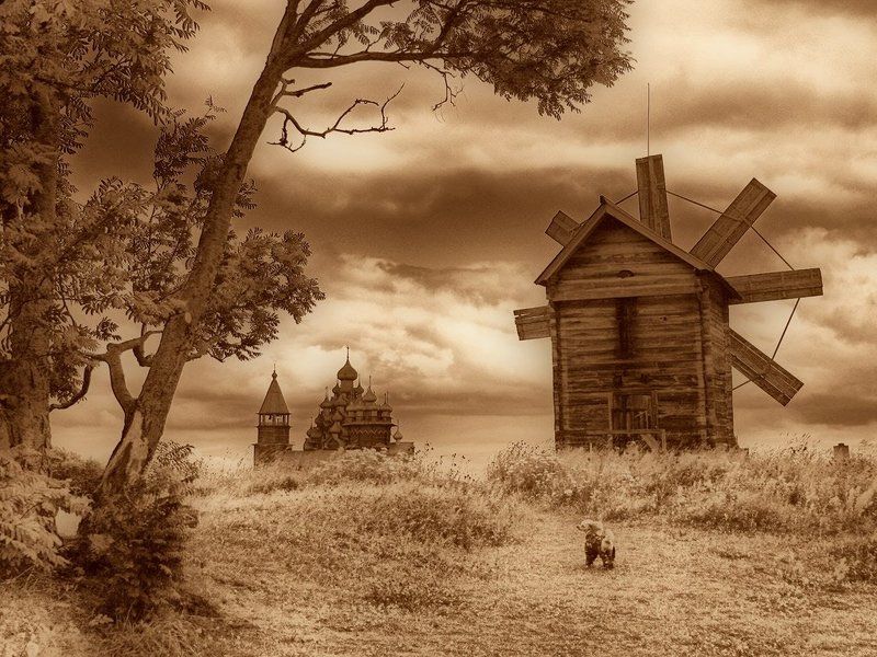 карелия, кижи Сказка про собачку которая потерялась фото превью