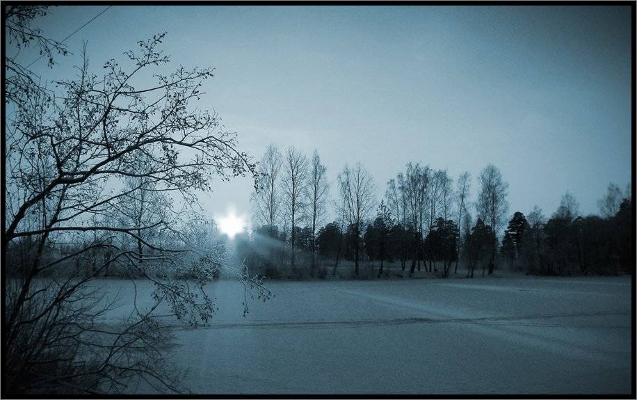 , Лунный Ежик