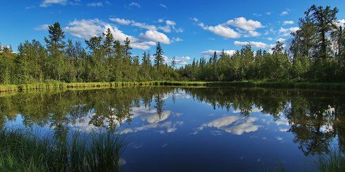 озерцо в лесотундре