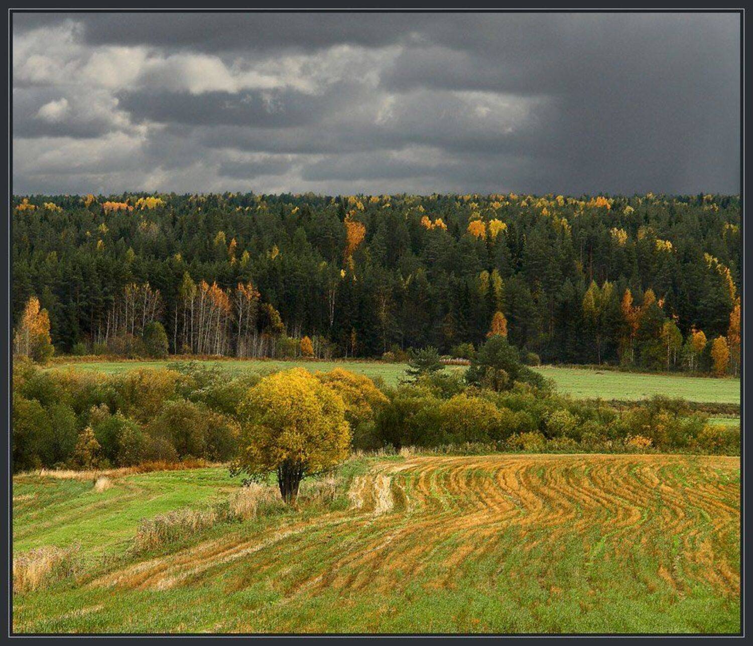 , Зайцев Владимир