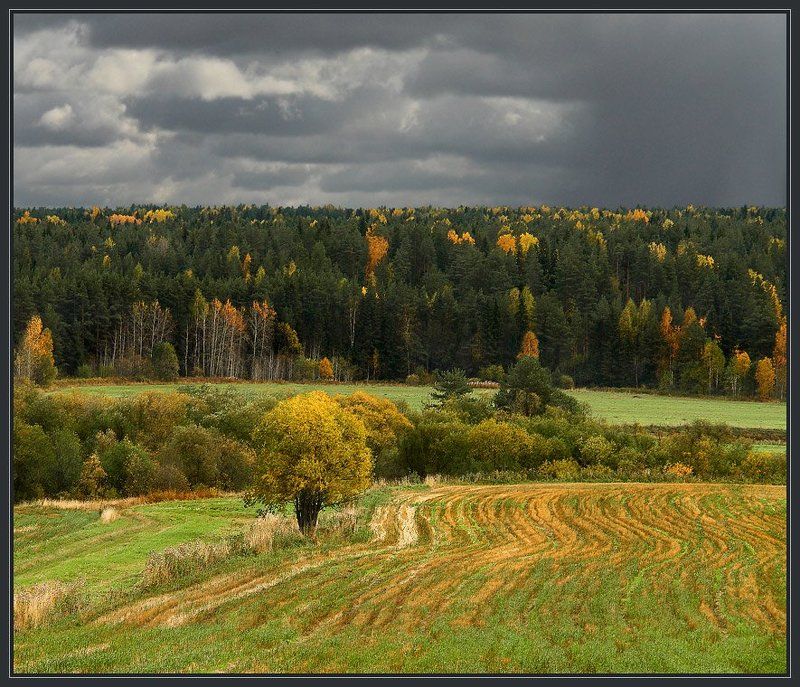 На краю тайги фото превью