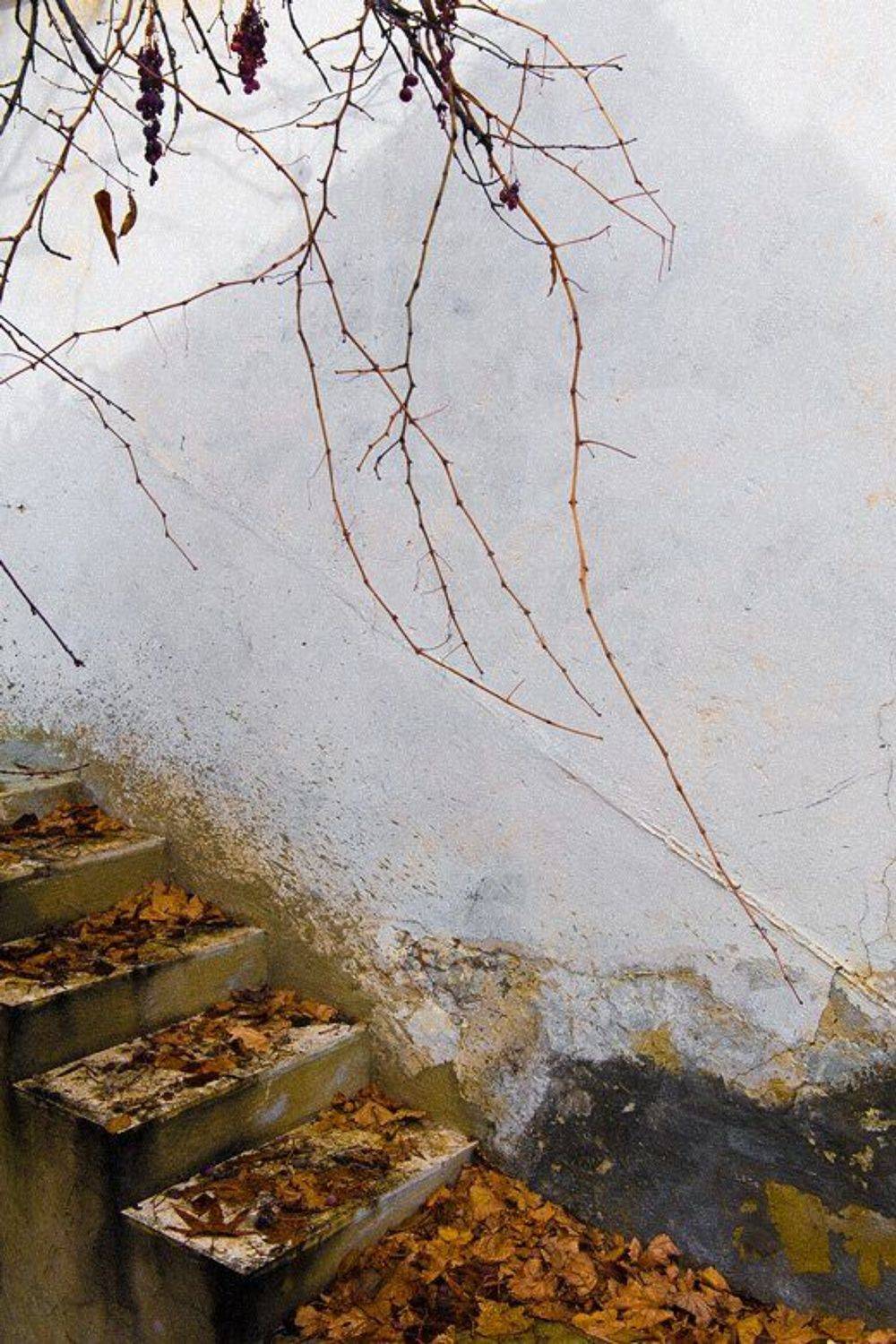 кипр,осень,ступеньки, Александр Константинов