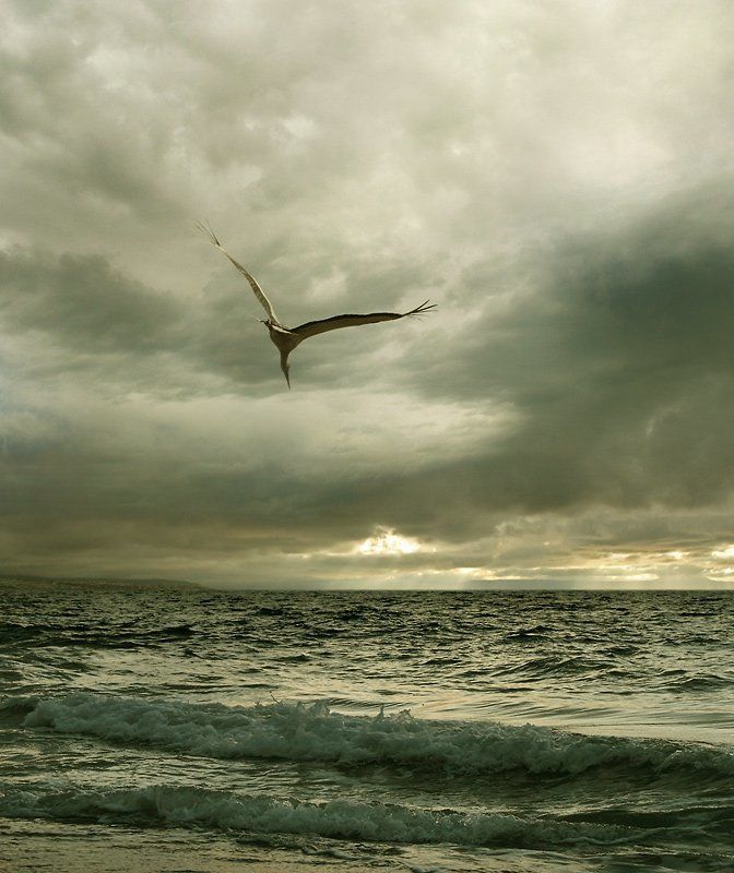 landscape, ikaros Ikaros фото превью