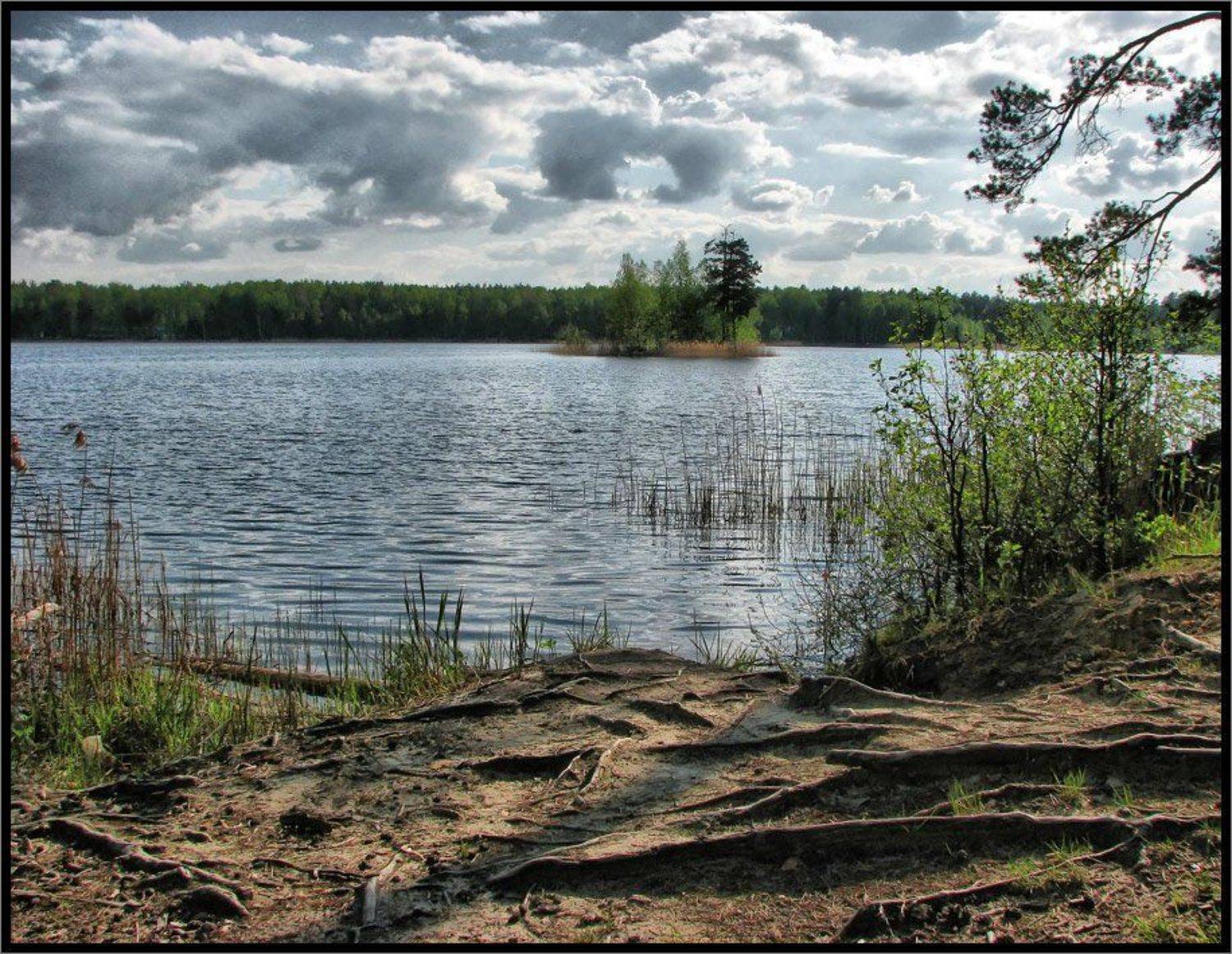 , Лунный Ежик