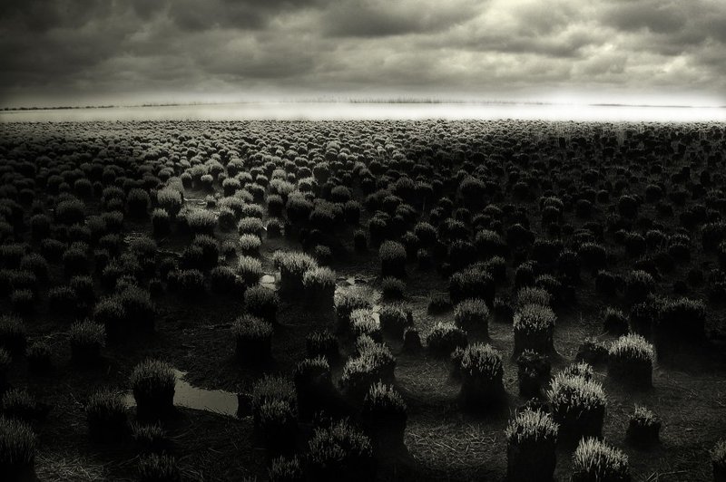 сентиментальная прогулка фото превью