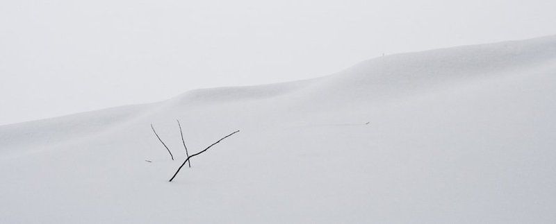 зима, снег, ветки, иероглиф иероглиф фото превью