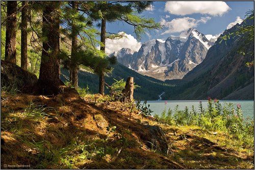 Ещё разок про Шавлинское озеро (по Шишкину)