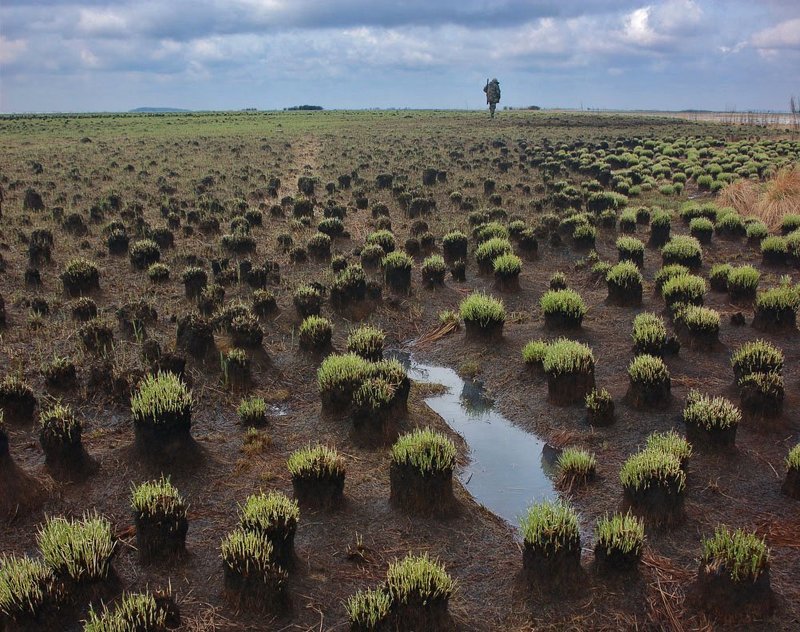 солдат Вселенной фото превью