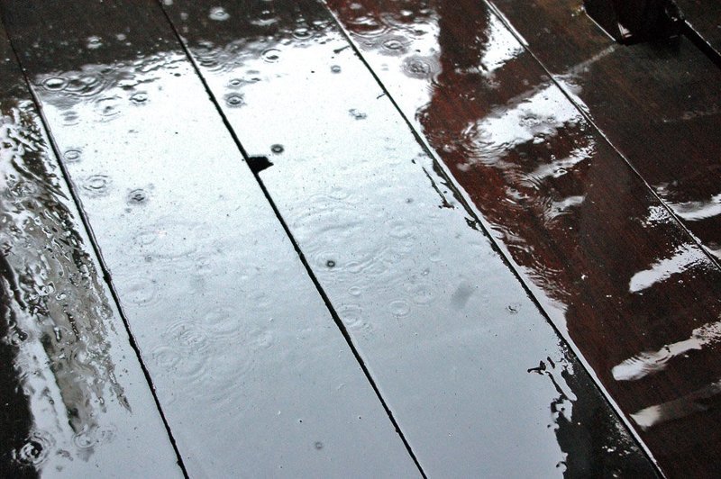 все капли дождя мои фото превью