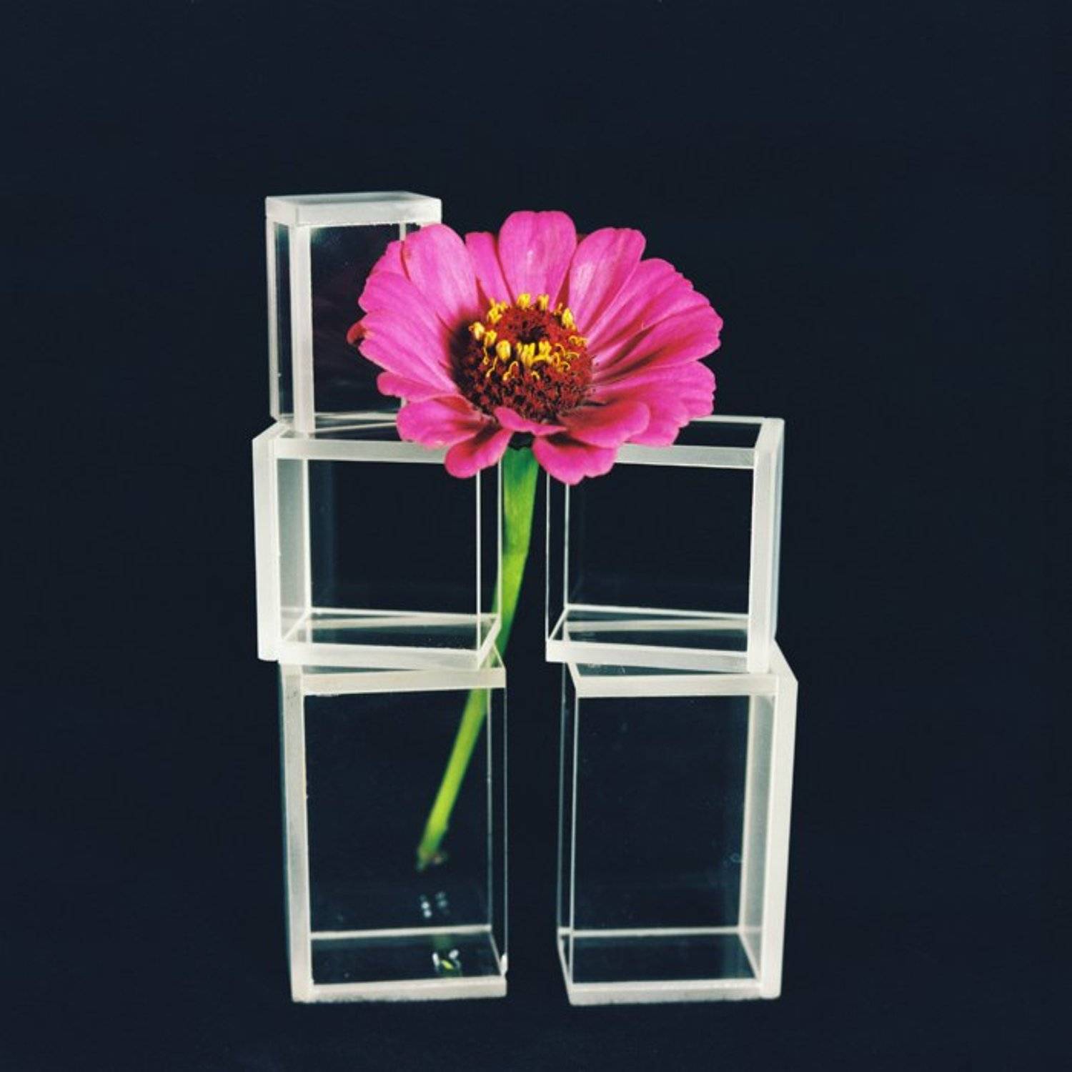 6х6,фотоплёнка,негатив, Sergey Tarba