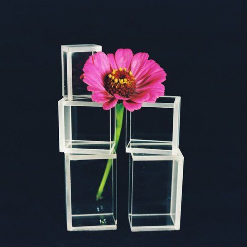 Аленький цветочек