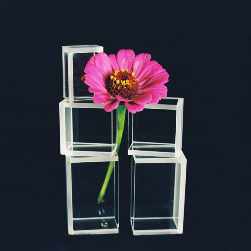 6х6,фотоплёнка,негатив Аленький цветочек фото превью