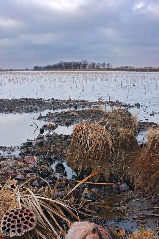 весна на Цветочном озере фото превью
