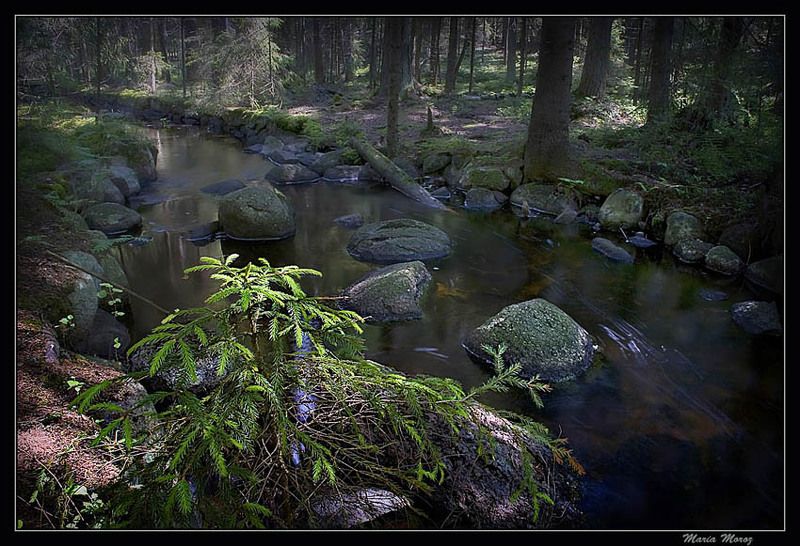 Мое лето фото превью