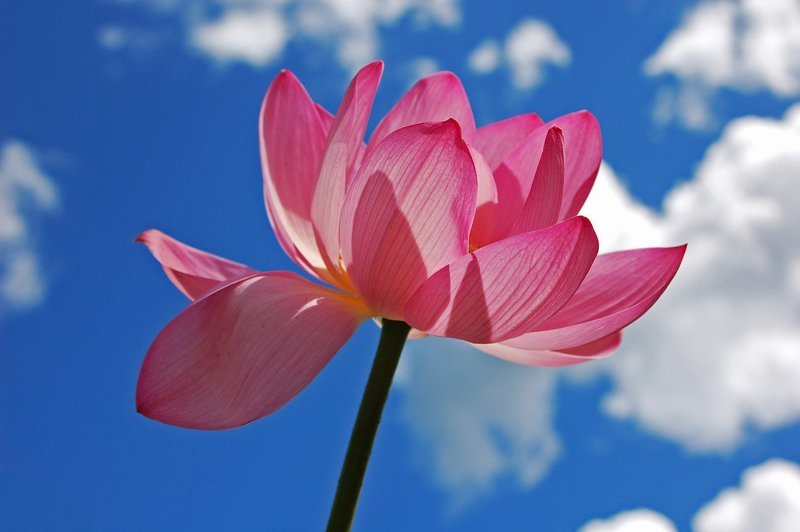 последний полёт фото превью