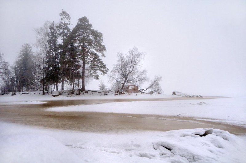 заповедник монрепо,выборг,туман,снег,природа, Молчание фото превью