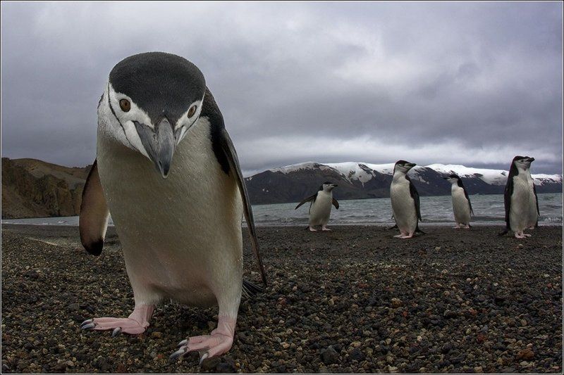 Личное знакомство фото превью