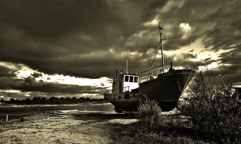 Приплыли! фото превью