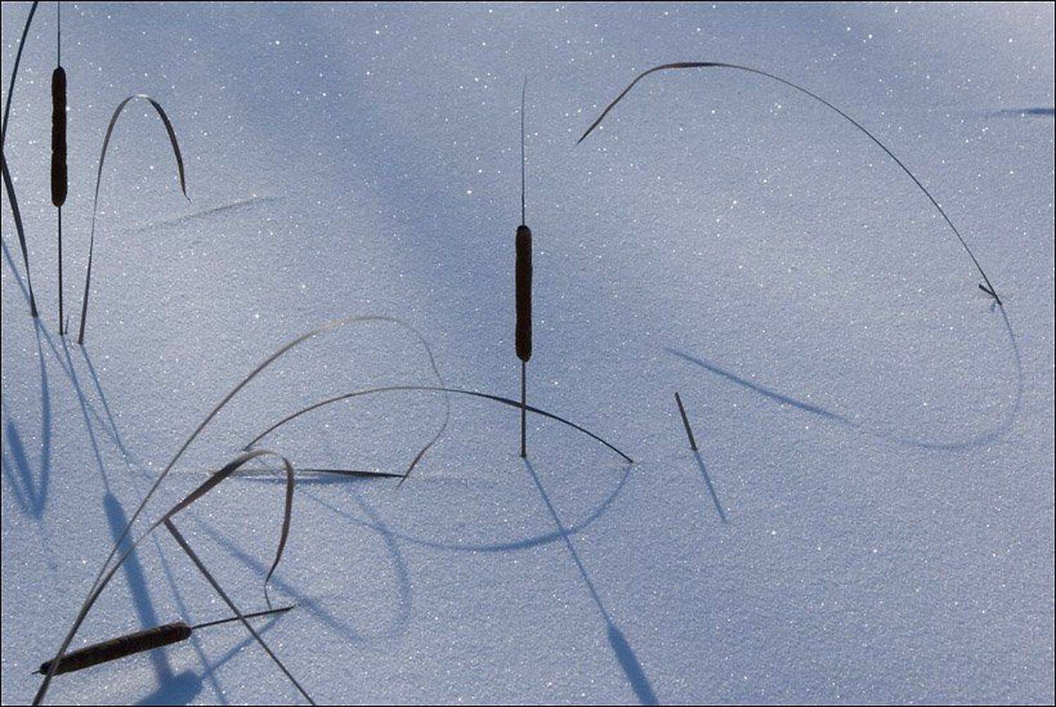 , Мирошниченко Сергей