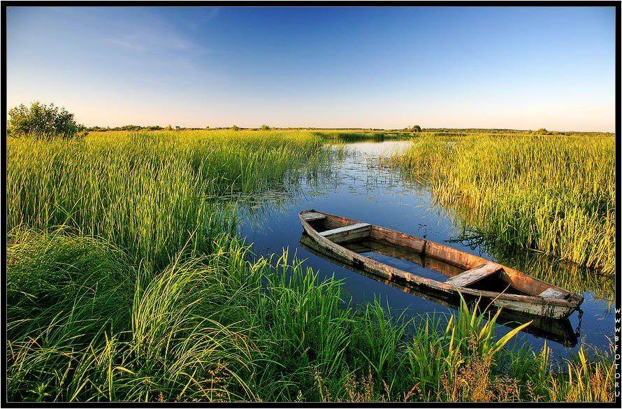 река, лодка, пейзаж, фото, лето, Алексей Строганов