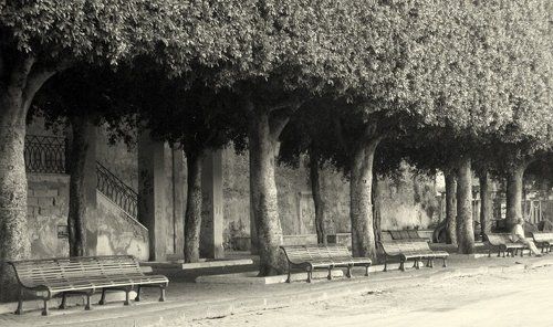 Старая аллея.