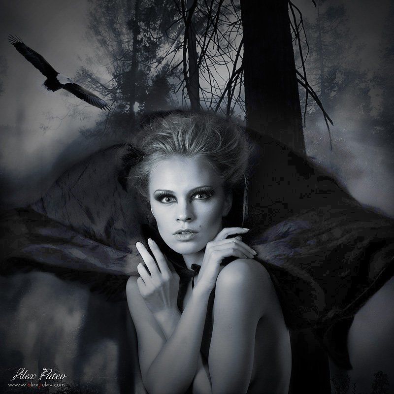 angel of night,iren lauren \