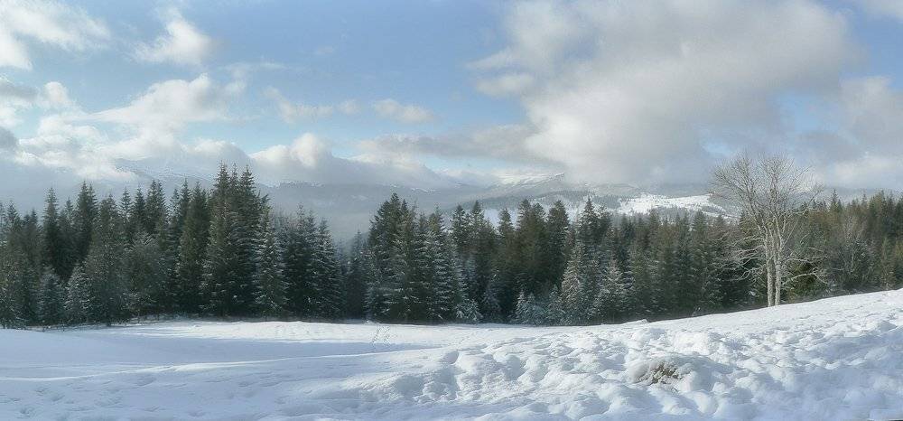 карпаты, природа, пейзаж, горы, снег, панорама, зима, утро, Piligrim