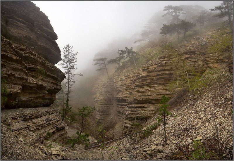 крым, таракташ, пейзаж, туман, весна Туманный Таракташ #3 фото превью
