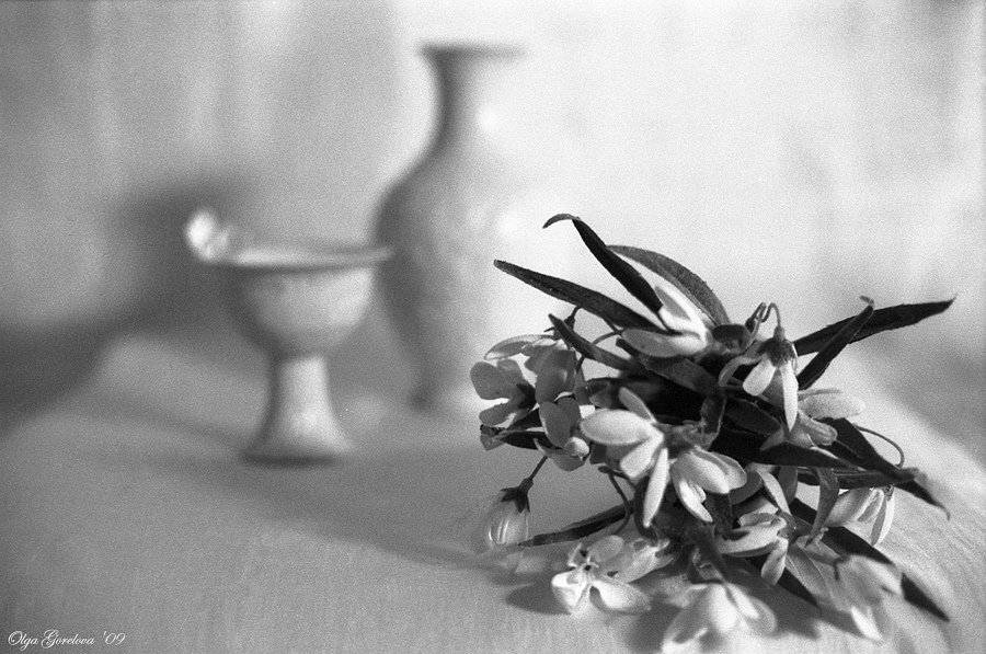 фото, натюрморт, ваза, цветы, Ольга Горелова