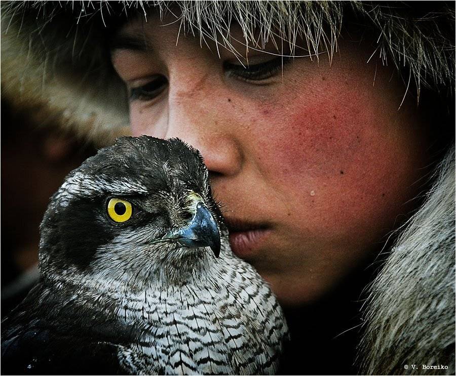 беркутчи, Вадько