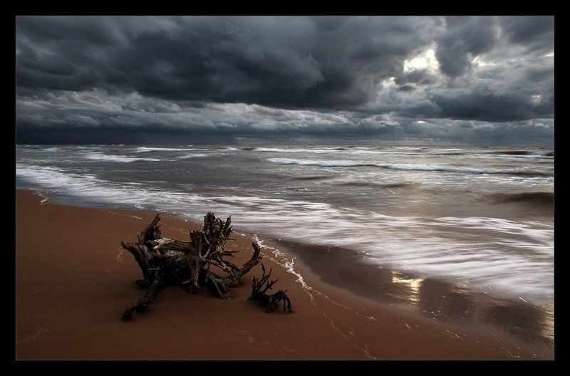 море, волны, коряга, облака, ветер, осень * * * фото превью