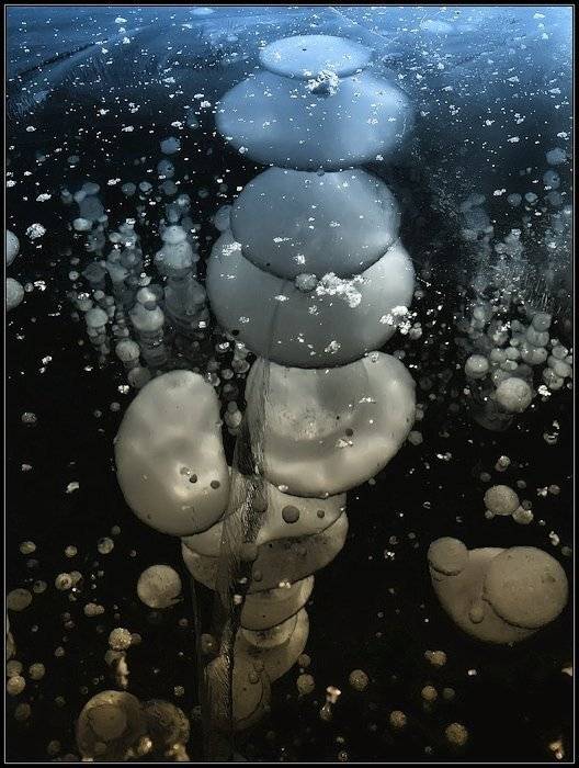 лед, пузыри, зима, Игорь Глушко