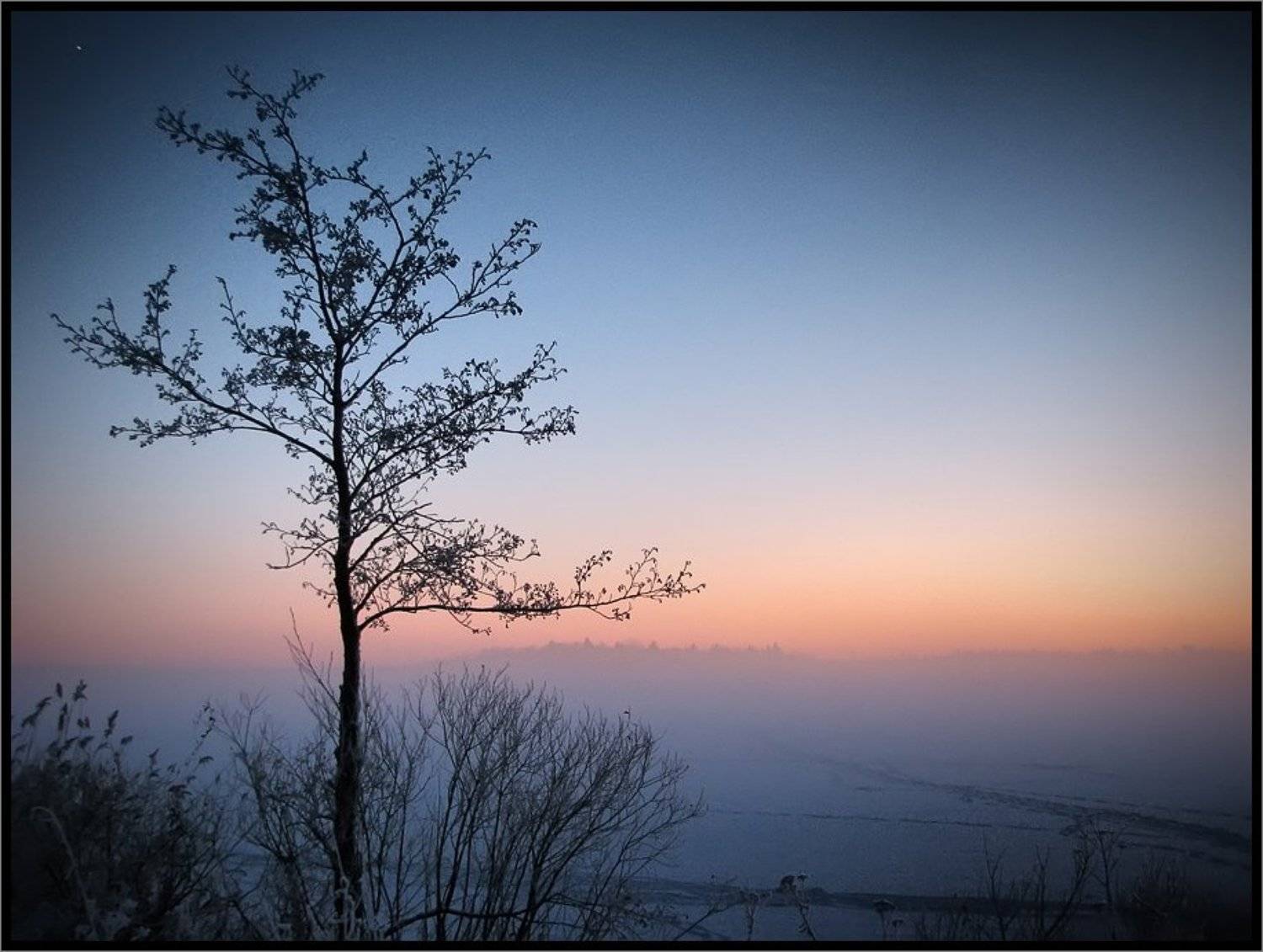 , Лунный Ежик