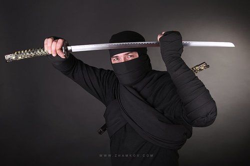 Ninja world