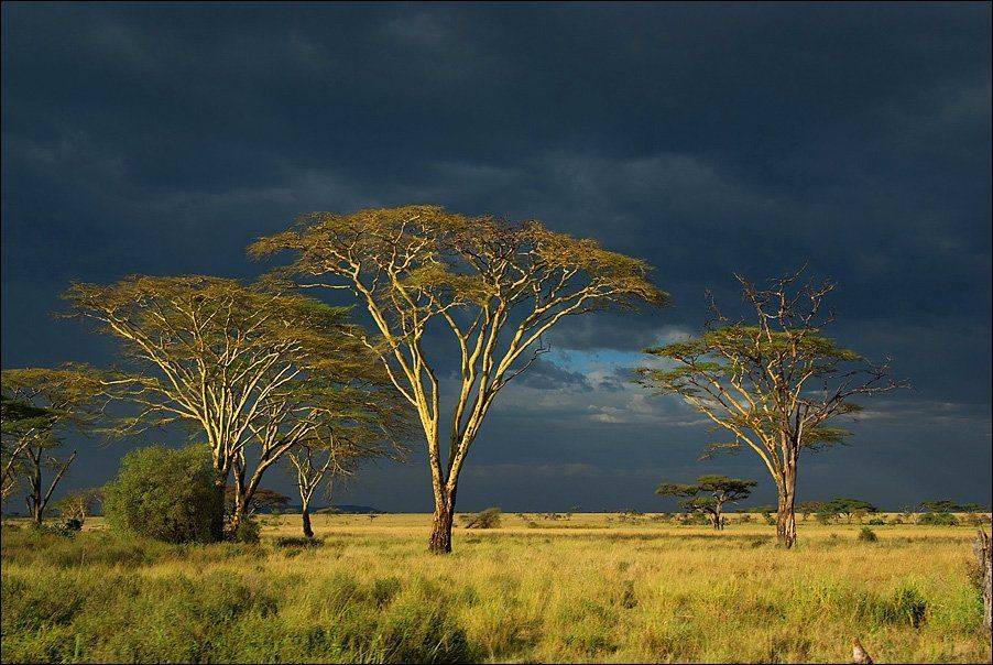 танзания, Leonid Shtishevskiy