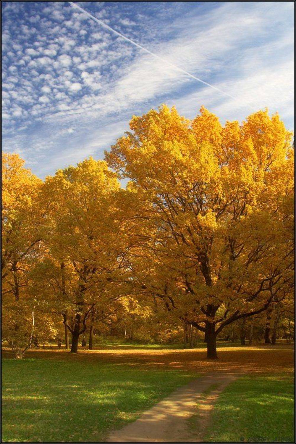 москва, осень, октябрь, пейзаж, Андрей Житков