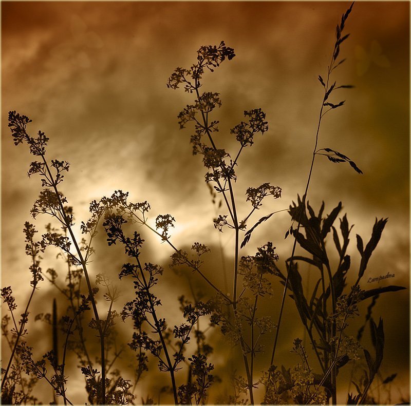 Танец уходящему солнцу фото превью