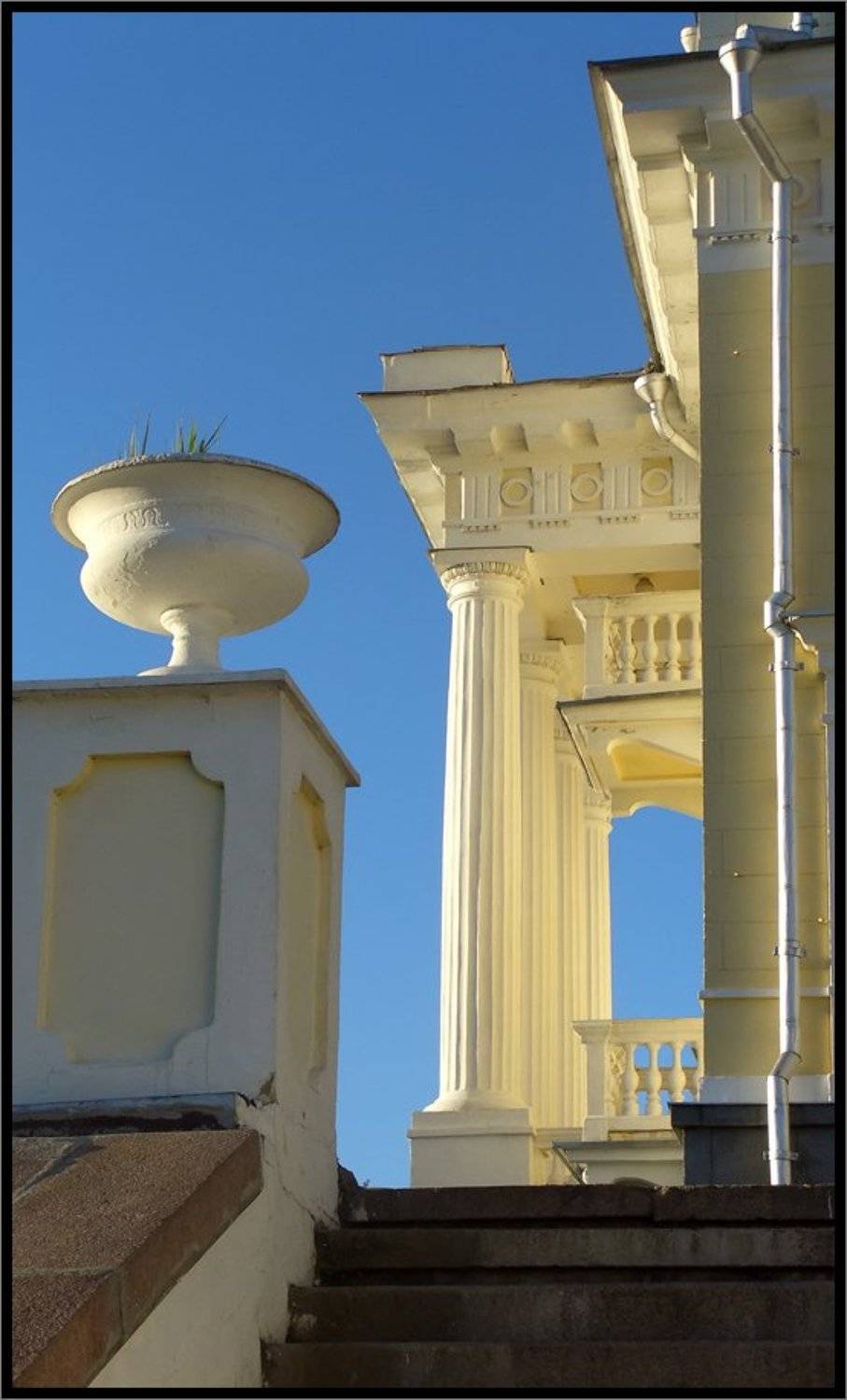 , Лунный Ежик