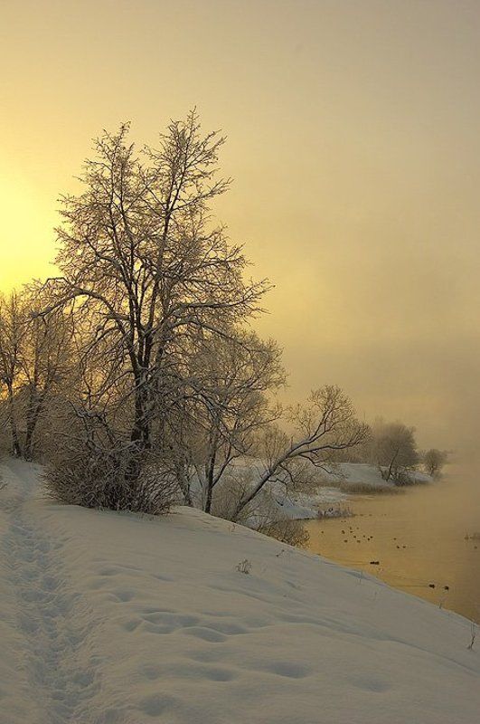 День обещал быть чудесным фото превью