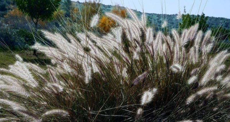 Щекотка фото превью