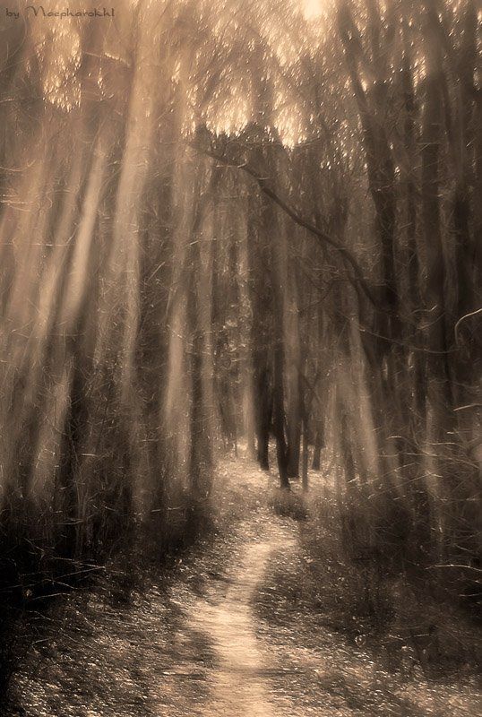 Гибель Ноября фото превью