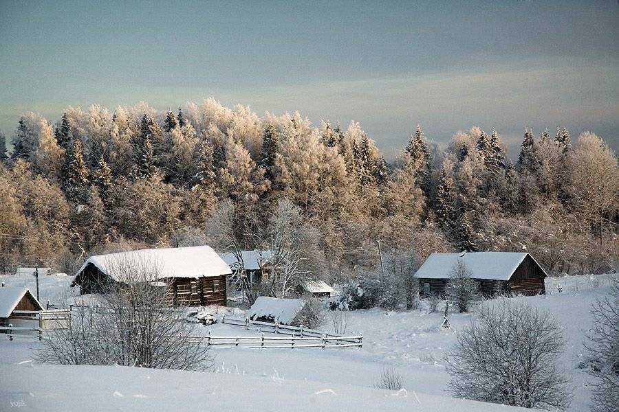 зимняя, сказка, Милый Ёжка