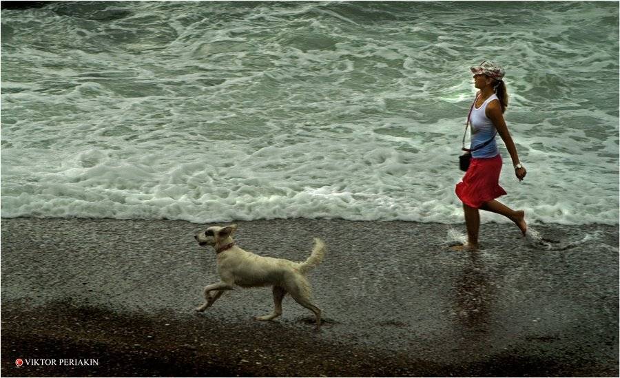 девушка, море, волны, собака, россия, Виктор Перякин