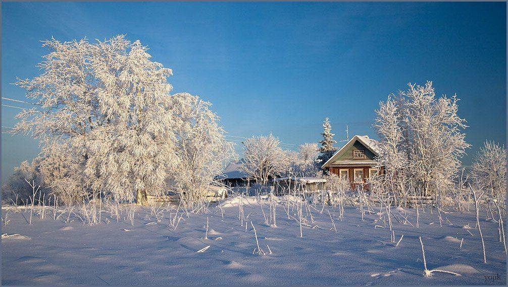 зимняя, сказка, Милый Ёжка