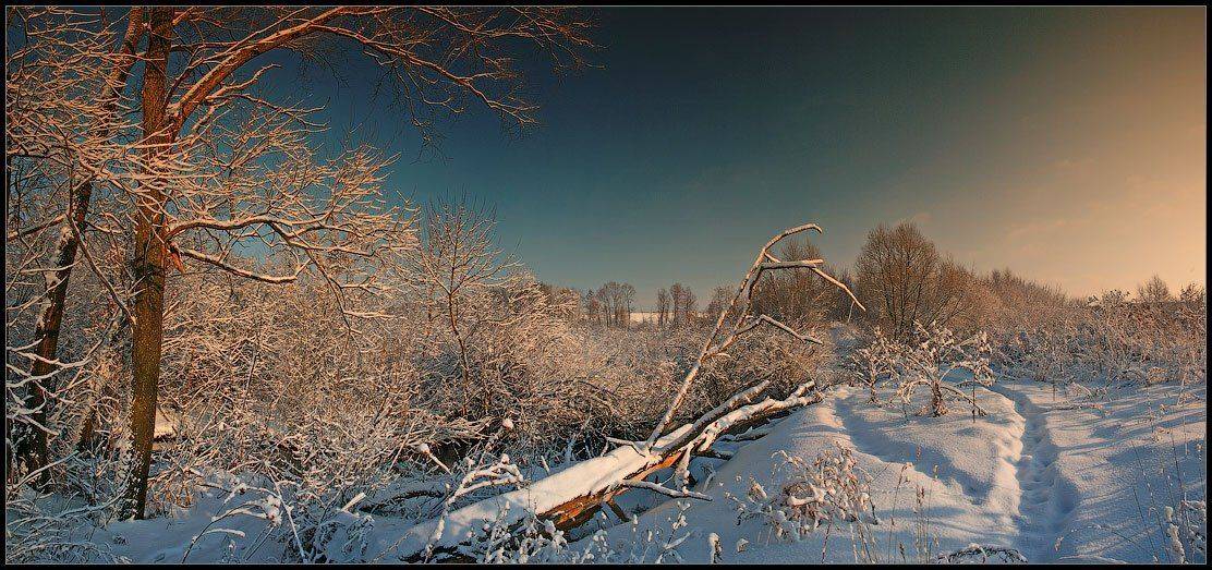 , Алексей Строганов