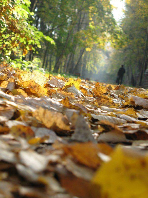 , Татьяна Ланская