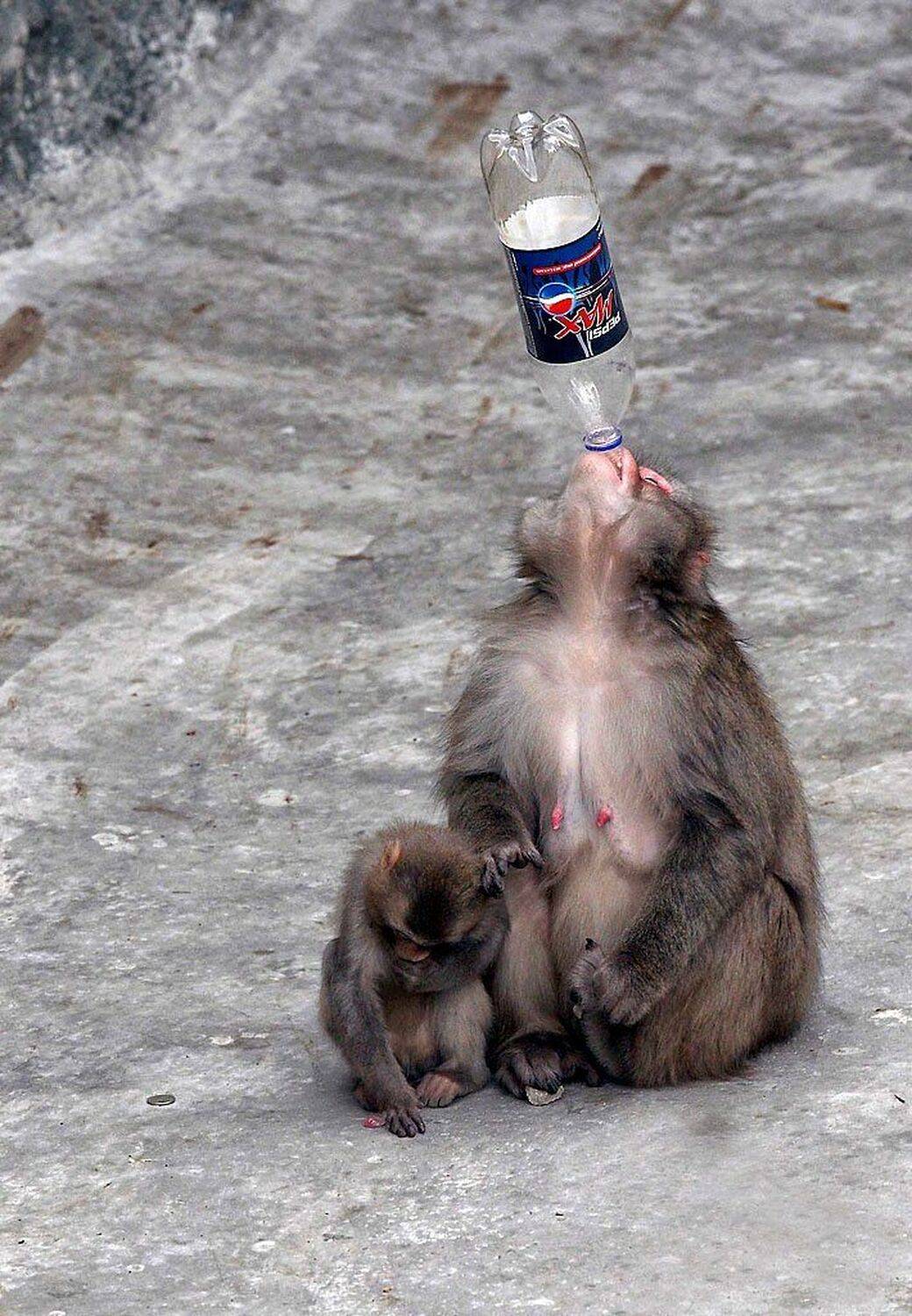 , Дмитрий Сегодник