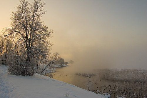 Морозным февральским утром
