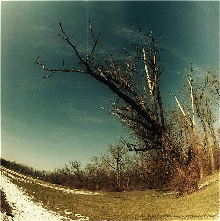 пейзаж, pilgrim, пленка, средний формат, 6х6, киев-60, зодиак-8, kiev-60, zodiak-8, Pilgrim